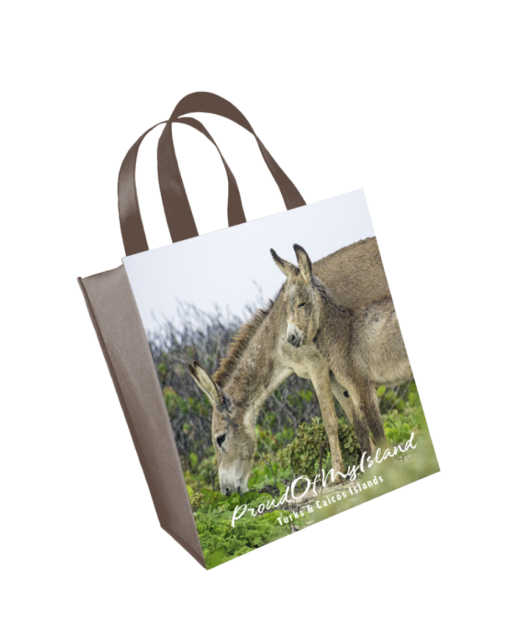 Wild Donkeys Reusable Bag